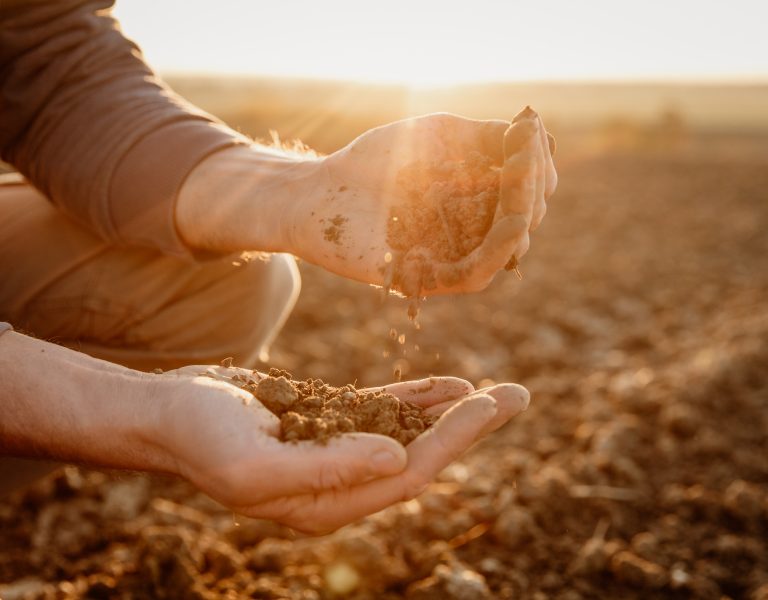 Male farmer examining soil at agricultural field